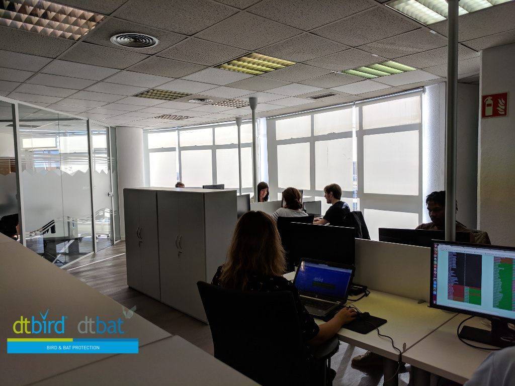DTBird new offices