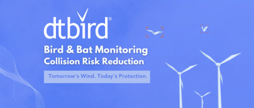 DTBird & DTBat Newsletter Banner
