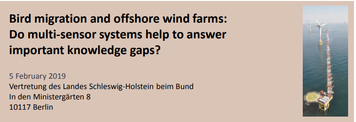 DTBird MultiBird Project 2019