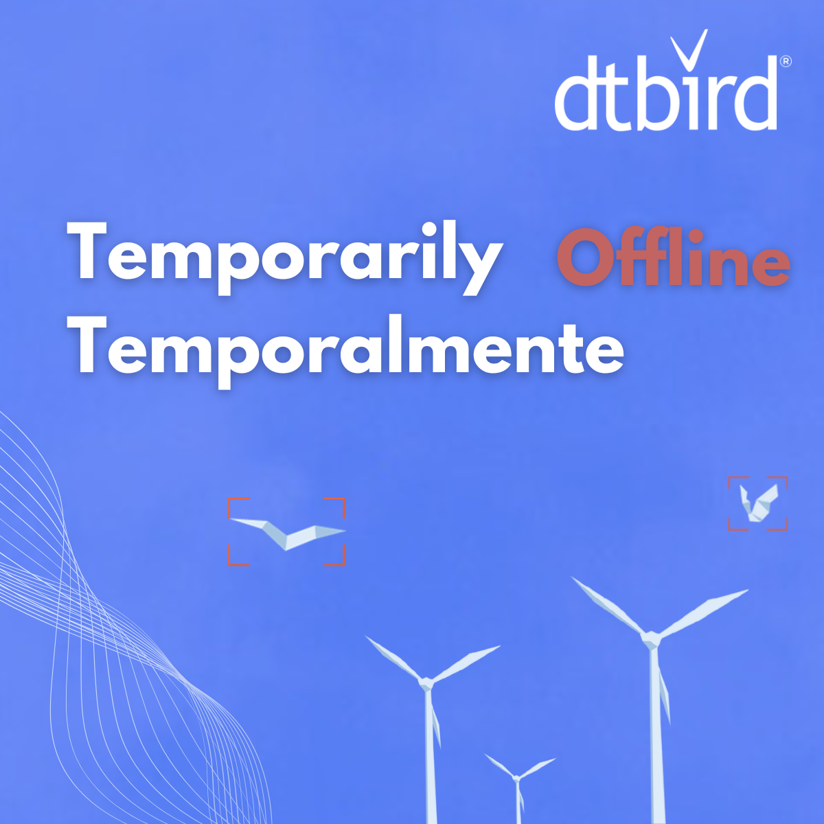 Temporarily Offline DTBird & DTBat company announcement