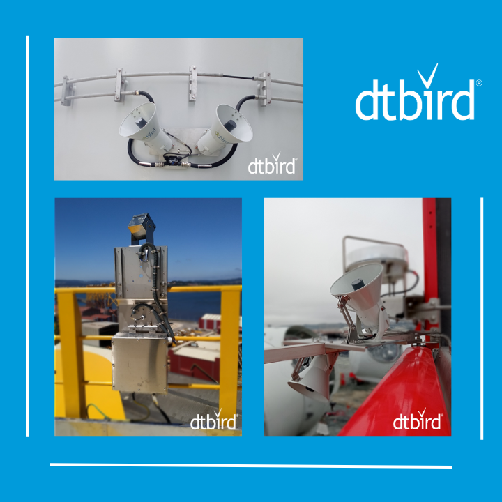 DTBird French Offshore Installation