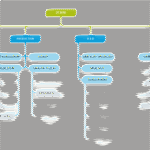 DTBird Organizational Company Chart 2021