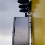 DTBird 300 units mark