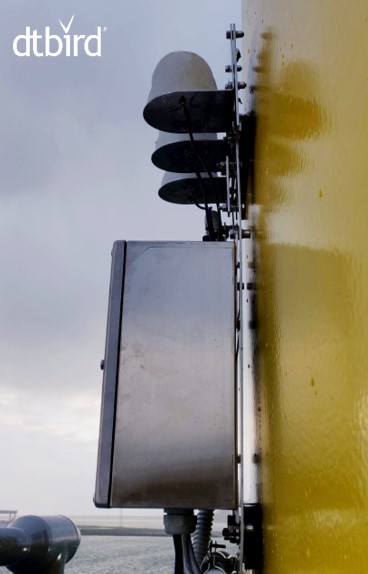 DTBird 300 units mark