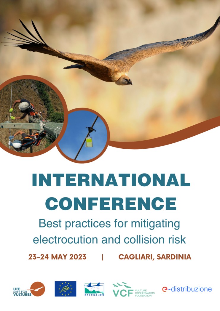 International Conference “Best practices for mitigating electrocution and collision risk”