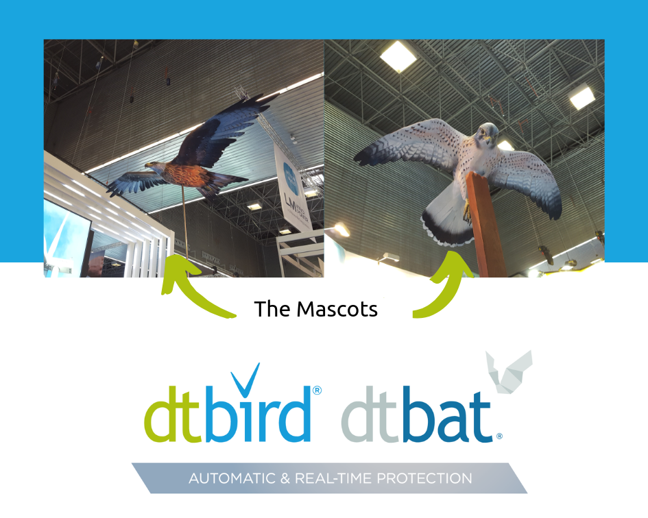 DTBird & DTBat Mascots
